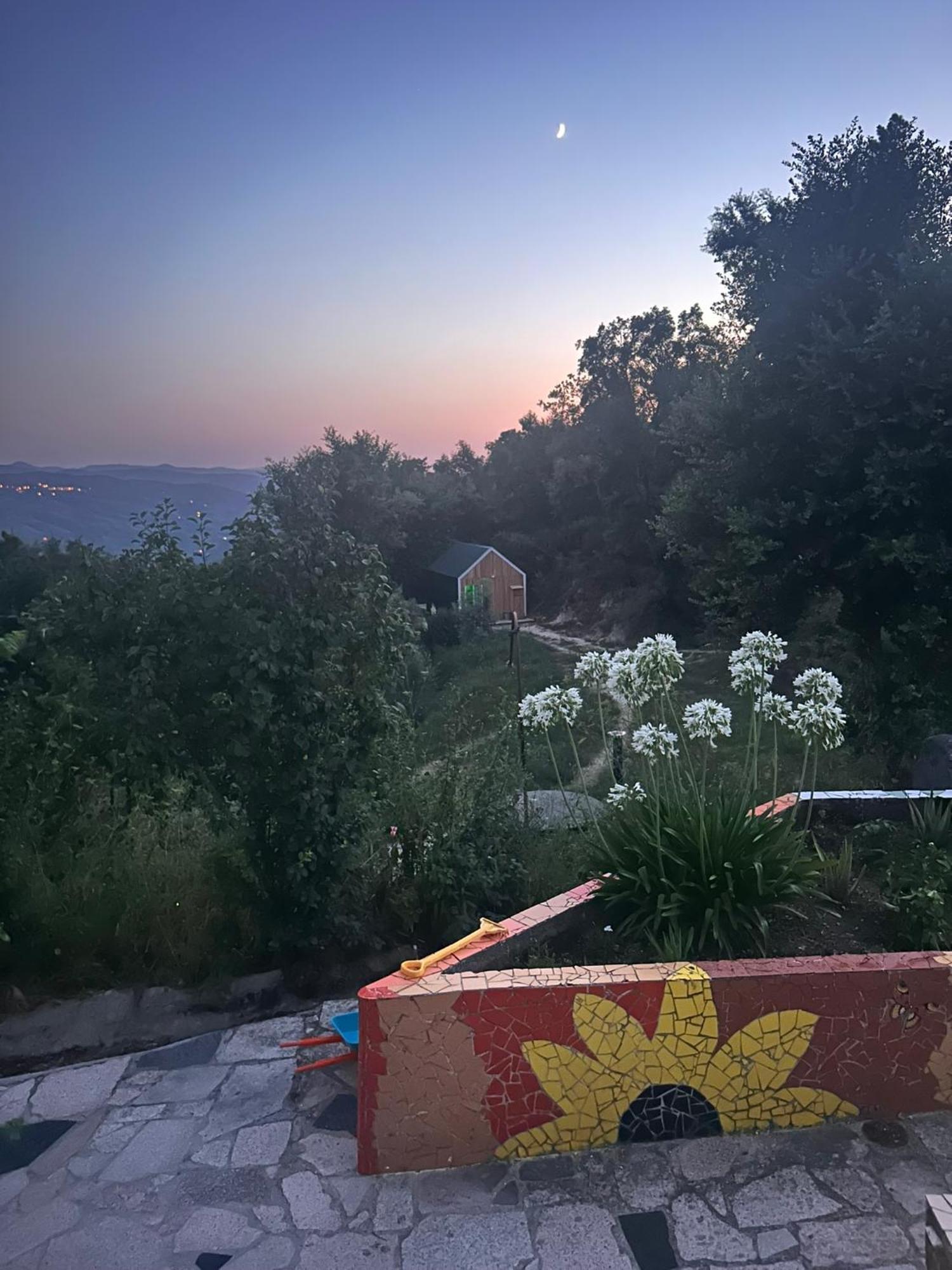 Willa Monkey Tiny Barnhouse With Amazing Views! Folhadosa Zewnętrze zdjęcie