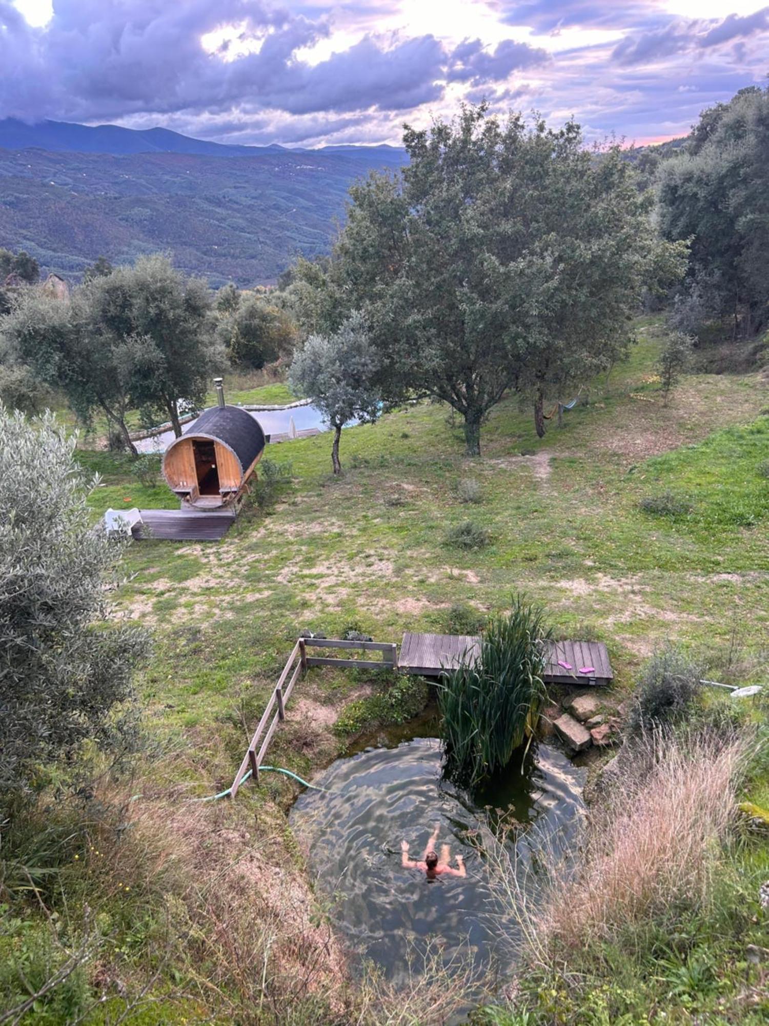 Willa Monkey Tiny Barnhouse With Amazing Views! Folhadosa Zewnętrze zdjęcie